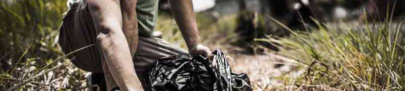 Curso en linea Agar0208 Repoblaciones Forestales Y Tratamientos Selvicolas Online