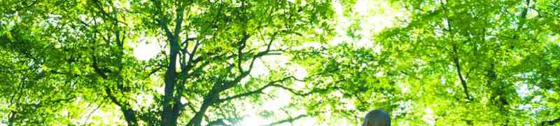 Curso a distancia Agar0209 Actividades Auxiliares En Aprovechamientos Forestales A Distancia