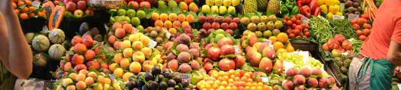 Postgrado en Almacenamiento y Conservación de Productos Hortofrutícolas en el Comercio Mayorista de Alimentos (Doble Titulación)