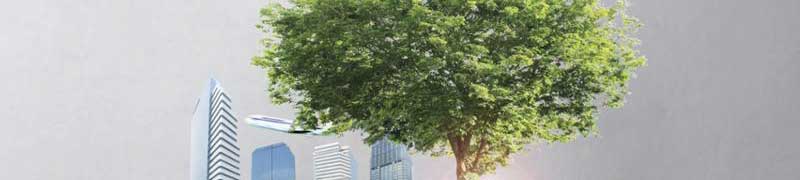 Calificacion Energetica de los Edificios