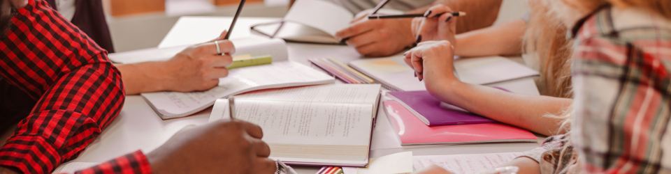 Experto en Comunidades de Aprendizaje (Learning Community)