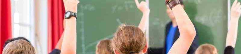 Especialista en el Control del Absentismo y Abandono Escolar + Atencion a la Diversidad en Centros Educativos (Doble Titulacion con 4 Creditos ECTS)