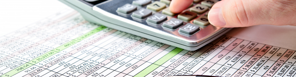 Curso Universitario de Analisis del Sistema Financiero y Procedimientos de Calculo (Titulacion Universitaria + 1 ECTS)