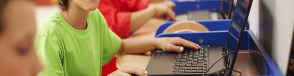 Curso de Aplicacion Didactica de las TIC en las Aulas + Curso de Educacion para el Uso Responsable de las Tic (Doble Titulacion con 8 Creditos ECTS)