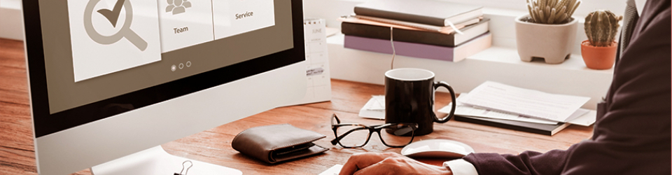 Auditor de Sistemas de Gestion de la Calidad (ISO 9001:2015)