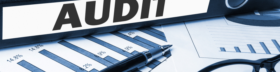 Curso Universitario de Auditoria de las Areas de la Empresa (Curso Homologado con Titulacion Universitaria + 1,5 ECTS)