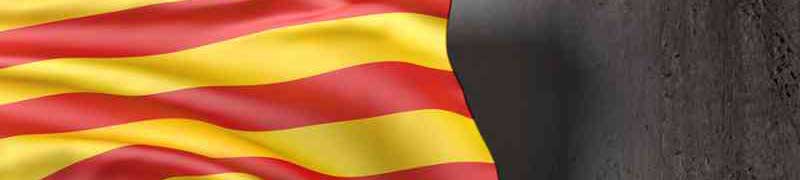 Curso Catalan Online (Curso Intensivo de Catalan A1-A2. Nivel Oficial Marco Comun Europeo)