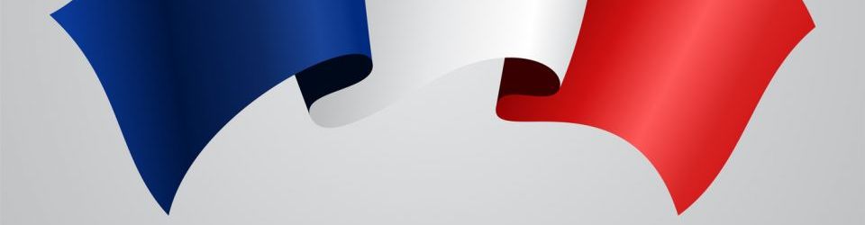 Postgrado en Coaching Educativo y Didactica del Frances para Profesores de Secundaria en Frances (Curso Homologado y Baremable en Oposiciones de Profesor de Frances: Doble Titulacion + 4 Creditos ECTS)