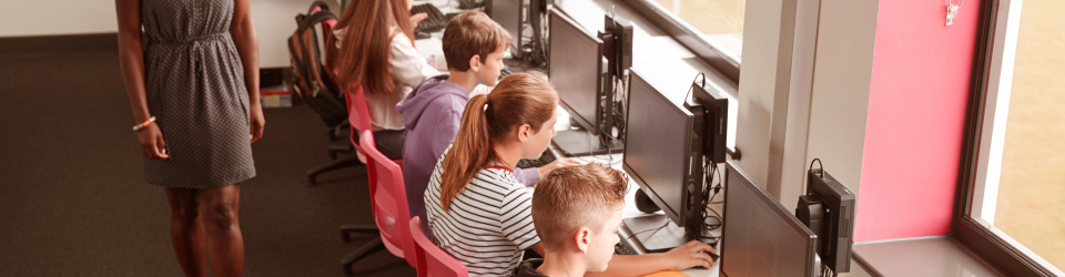 Desarrollo de las Competencias Tic para la Docencia (Curso Online Homologado COMPETENCIAS TIC PARA DOCENTES con Titulacion Universitaria con 4 Creditos ECTS)