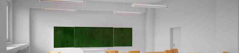 Master de Ensenanza de Matematicas. Aplicacion del Metodo Doman + Titulacion Universitaria
