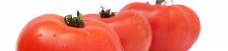 Master en Dietetica y Nutricion, Elaboracion de Dietas y Nutricion Infantil + Titulacion Universitaria + REGALO: Licencia Oficial Software de Elaboracion de Dietas)
