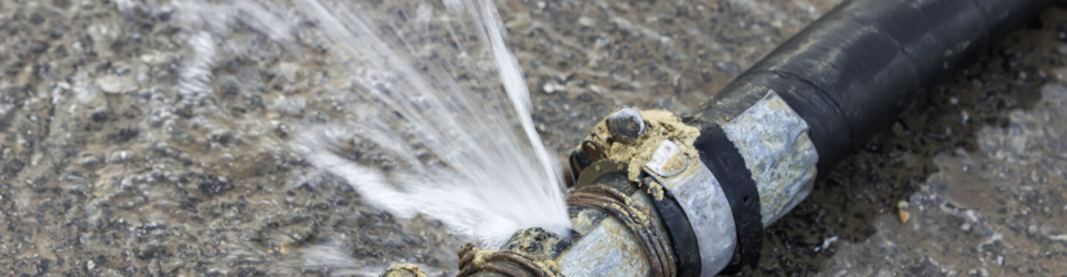 Direccion y Gestion de Empresas de Agua (Curso Online Homologado en DIRECCCION DE EMPRESAS DE GESTION DE AGUA con Titulacion Universitaria con 4 Creditos ECTS)