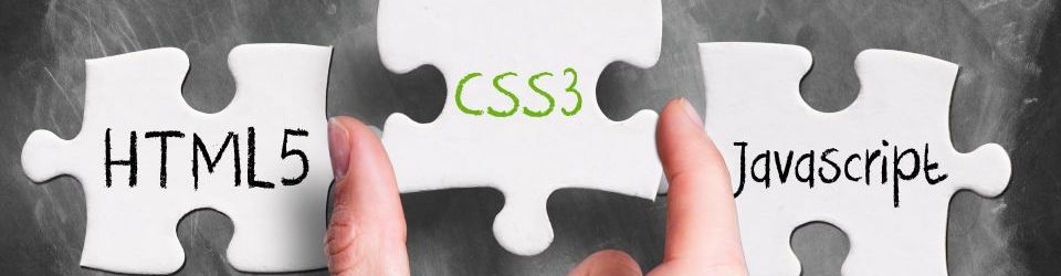 Postgrado en Direccion y Gestion de Proyectos Web + Titulacion Universitaria