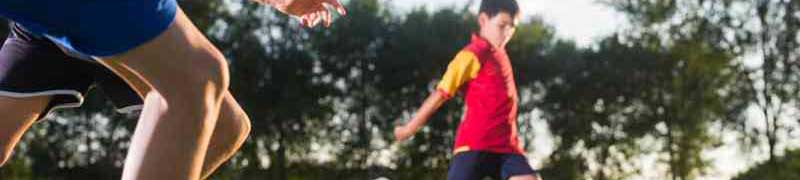 Especialista en Educación Física Cooperativa: Aprendizaje y Juegos Cooperativos + Monitor de Educación Física (Doble Titulación con 4 Créditos ECTS)