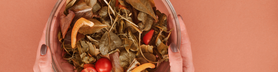 Curso Practico de Elaboracion de Dietas Personalizadas