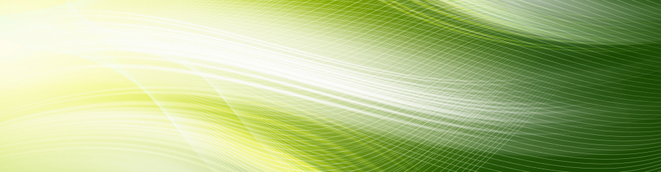 Curso Universitario de Elaboracion de Inventarios de Consumo de Materias Primas y Recursos (Curso Homologado con Titulacion Universitaria + 1,5 ECTS)