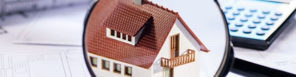 Especialista en Estrategias en el Mundo Inmobiliario