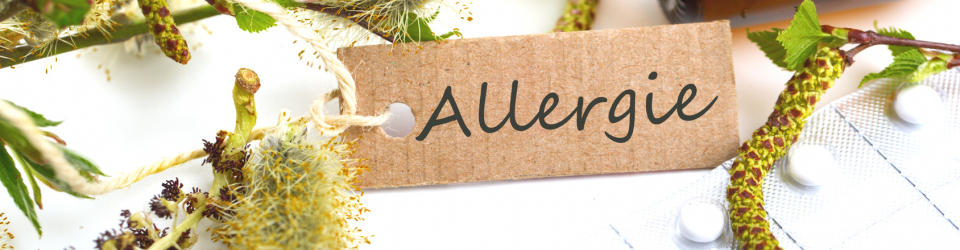 Curso de Gestión de Alérgenos en Distribución Alimentaria