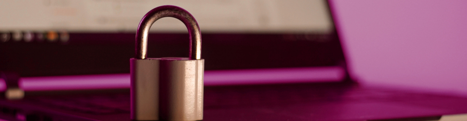 Curso Superior Universitario Gestion y Auditoria en Proteccion de Datos: Consultor LOPD (Curso Homologado y Baremable en Oposiciones de la Administracion Publica)