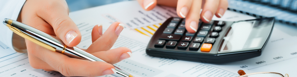 Curso Universitario de Gestion y Control del Presupuesto de Tesoreria (Curso Homologado con Titulacion Universitaria + 1 ECTS)