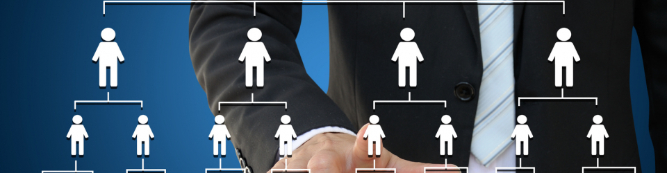 CURSO GESTION DE PROYECTOS