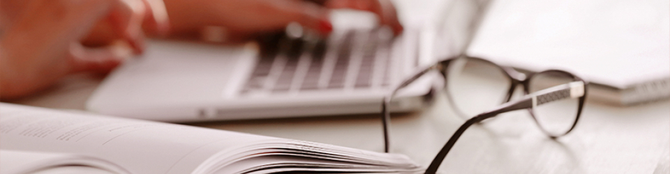 Especialista en Gestion de Planes de Formacion E-Learning