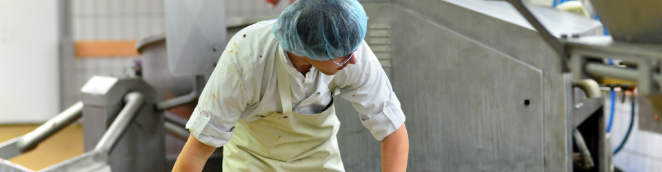 Postgrado de Tecnico en Gestion de la Produccion en la Industria Alimentaria + Titulacion Universitaria