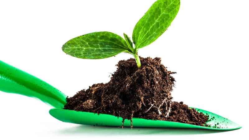 Evaluación de Impacto Ambiental (Titulación Universitaria con 4 Créditos ECTS)