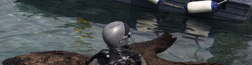 Curso Practico de Iniciacion al Buceo + Salud Deportiva (Doble Titulacion con 4 Creditos ECTS)