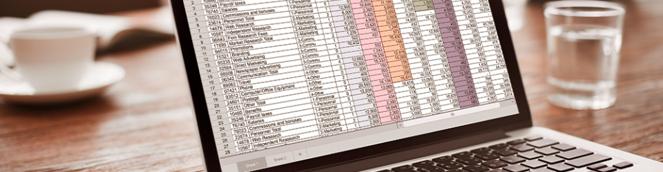 Curso Universitario de Iniciacion Excel 2007 (Curso Homologado con Titulacion Universitaria + 1 ECTS)