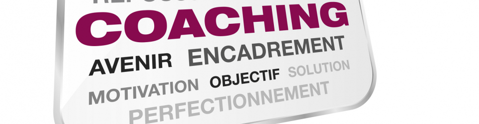 Especialista en Inteligencia Emocional como Herramienta Fundamental para la Superacion y el Desarrollo Profesional + Titulacion Universitaria en Coaching y Mentoring (Doble Titulacion con 4 Creditos ECTS)