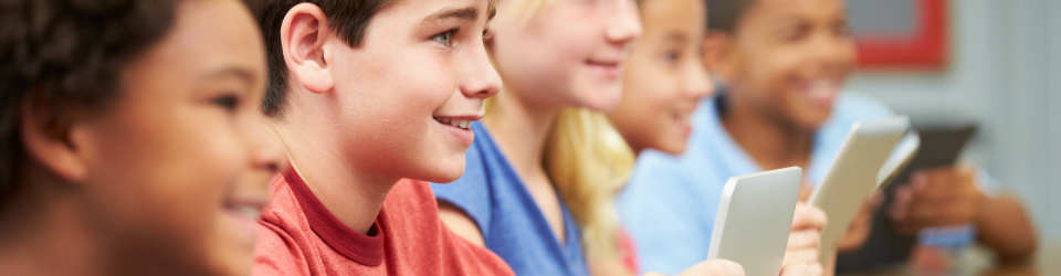 Especialista en Intervencion Didactica y Pedagogia en Educacion Primaria + Titulacion Universitaria de Organizacion Escolar (Doble titulacion + 4 Creditos ECTS)