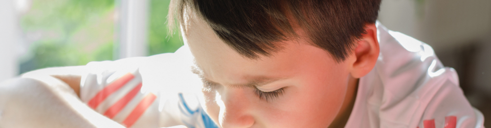 Experto en Logopedia en el Sindrome de Williams