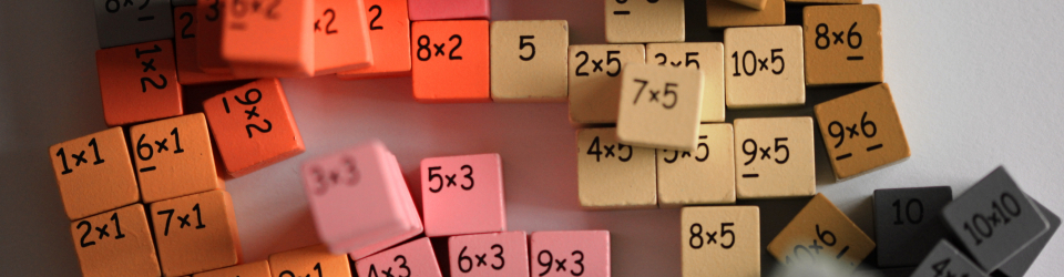 DIDACTICA DE LAS MATEMATICAS