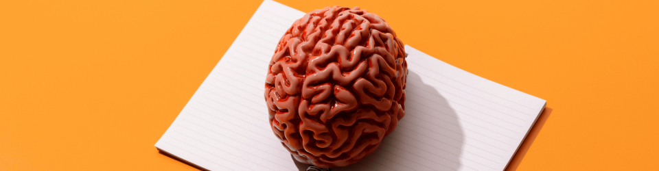 CURSO NEUROPSICOLOGIA