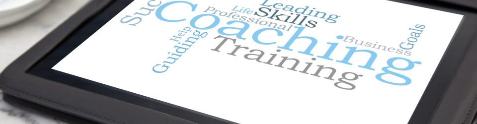 Curso Online de Desarrollo Profesional Estrategico: Direccion de Equipos, Liderazgo, Coaching