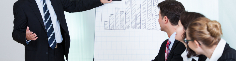 Curso Practico: Diseno Organizacional
