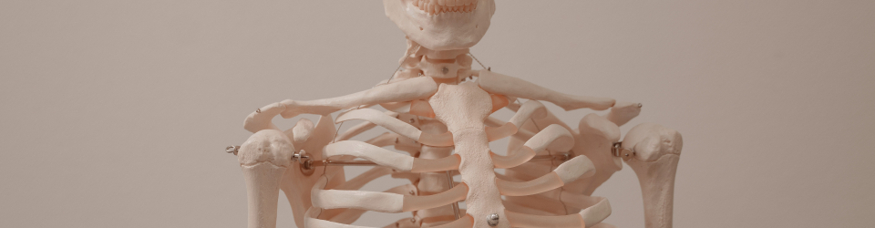 Postgrado en Osteopatia Clinica Integrada