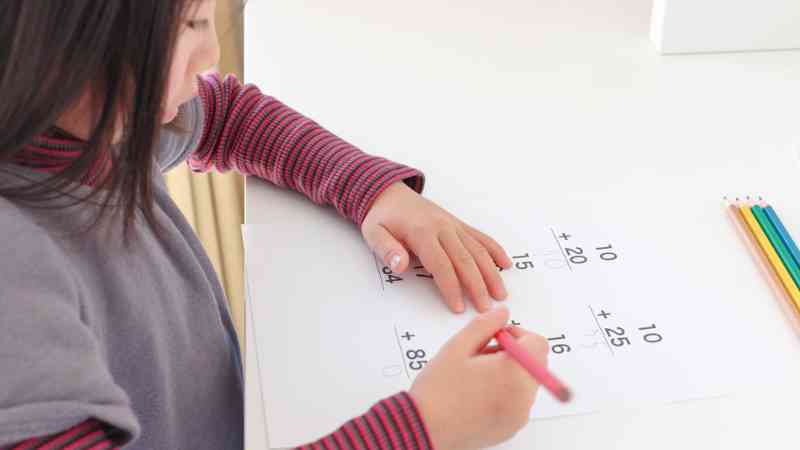 Curso Pedagogia Psicopedagogia Clinica Intervencion Psicoeducativa Homologado