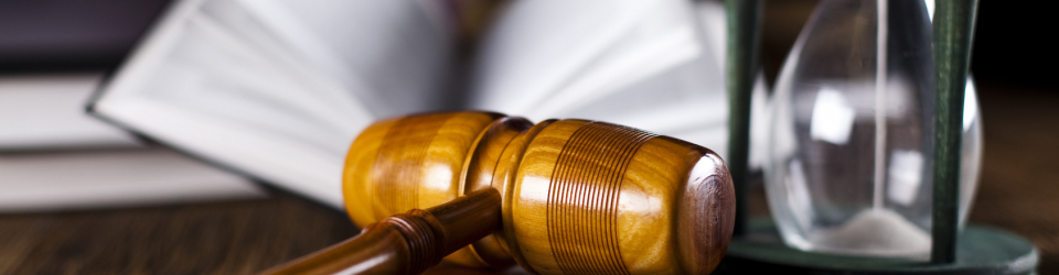Perito Judicial Odontologo + Titulacion Universitaria en Elaboracion de Informes Periciales (Doble Titulacion con 4 Creditos ECTS)