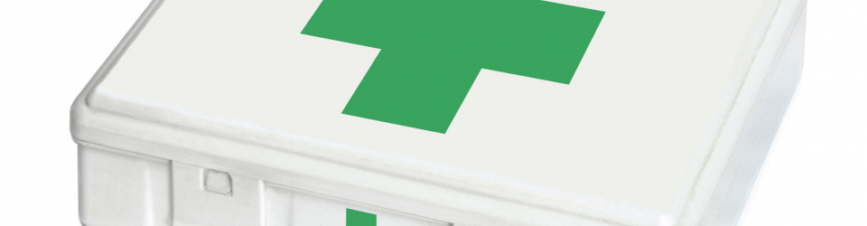Curso Practico de Primeros Auxilios para Profesionales No Sanitarios (Doble Titulacion - Homologada y Baremable en Oposiciones de la Administracion Publica + 4 Creditos ECTS)