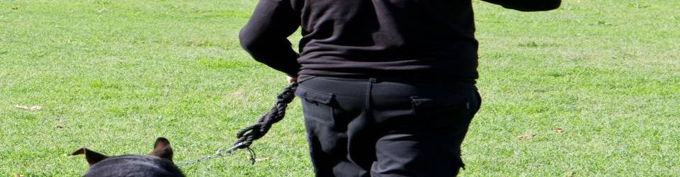 curso seguridad privada