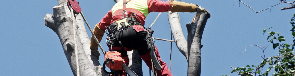 Prevencion de riesgos laborales