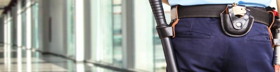Técnico en Prevención de Riesgos Laborales para Profesionales de Seguridad Privada
