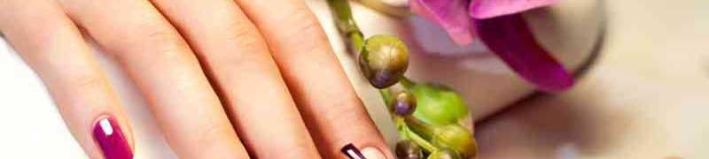 Curso Profesional de Escultura de Uñas Paso a Paso