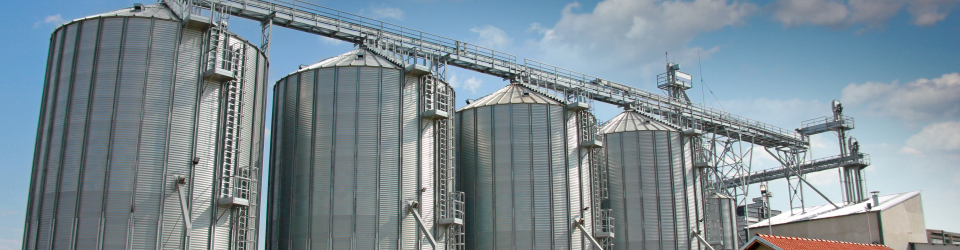 Curso en Seguridad Alimentaria en Buques en Alta Mar (Doble Titulacion con 4 Creditos ECTS)