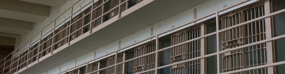 Curso en Seguridad Alimentaria en Centros Penitenciarios (Doble Titulacion con 4 Creditos ECTS)