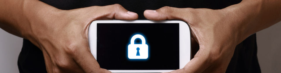Tecnico en Seguridad de los Datos Informaticos