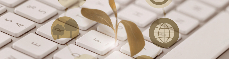 Curso Practico: Sistemas de Gestion Ambiental EMAS e ISO 14001