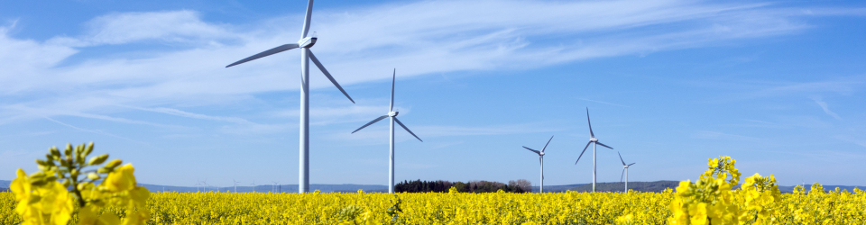 Curso Superior de Instalaciones Eólicas. Pequeña y Gran Potencia